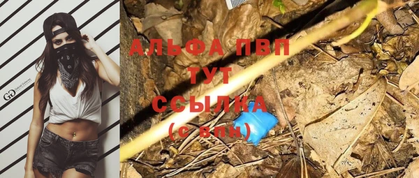 прущие грибы Абдулино