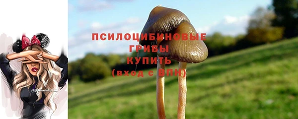 не бодяженный Рославль