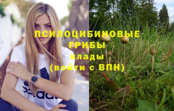 прущие грибы Абдулино