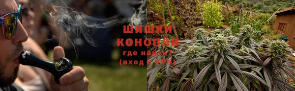 прущие грибы Абдулино