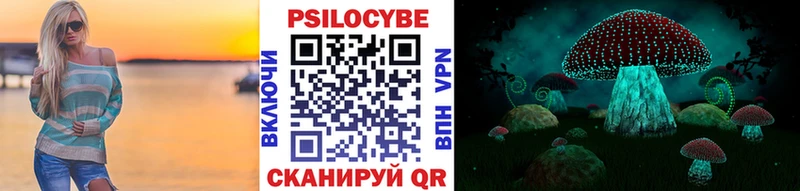 Галлюциногенные грибы Psilocybine cubensis  хочу   Избербаш 
