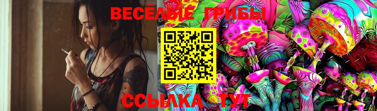 Галлюциногенные грибы GOLDEN TEACHER Избербаш