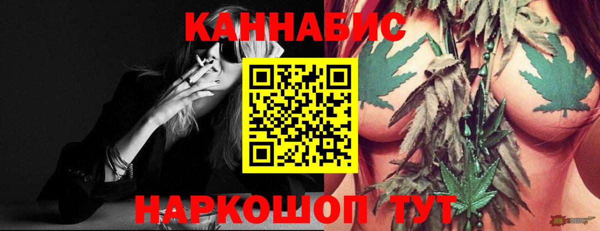 Конопля сатива Избербаш